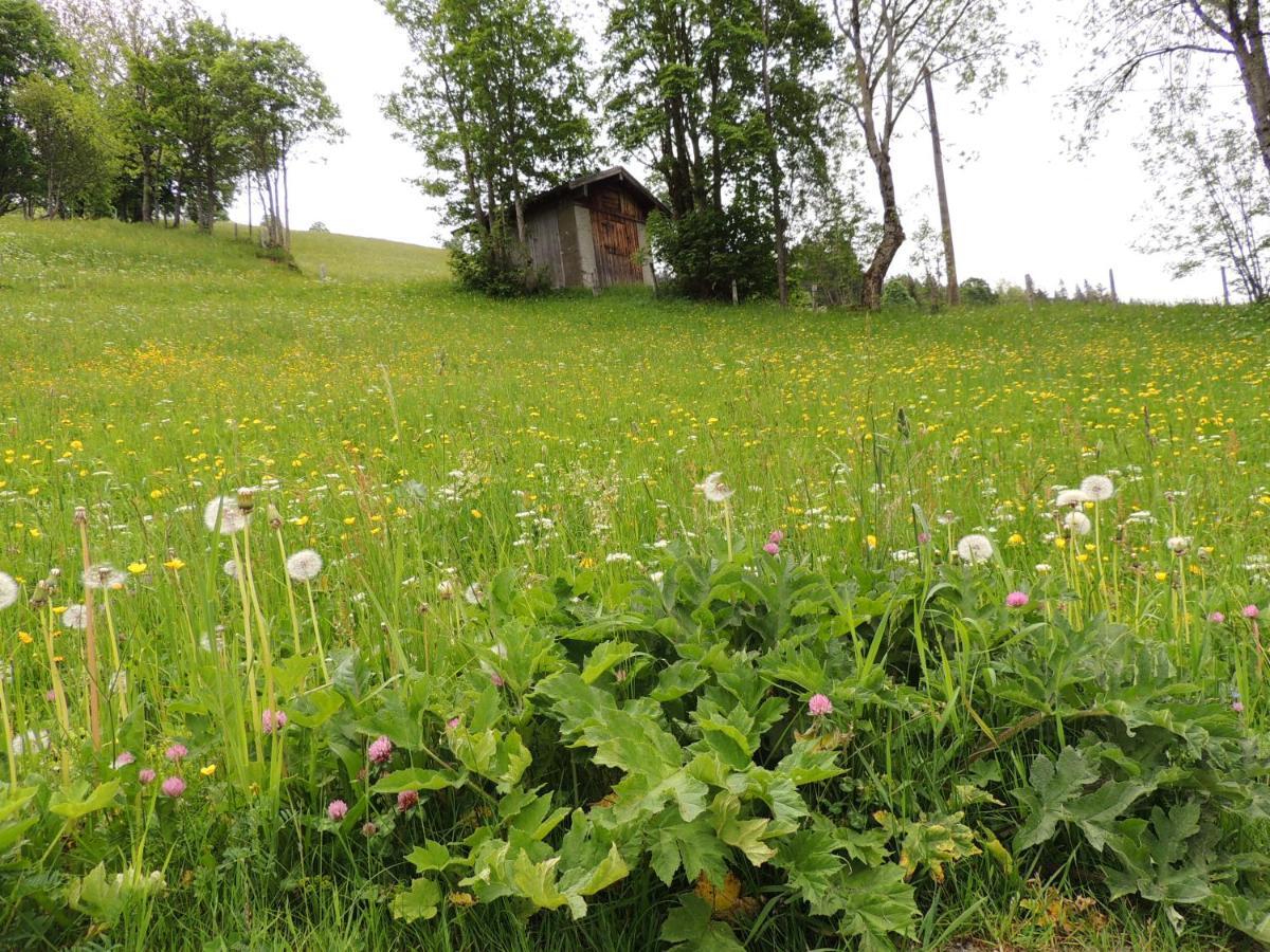 Haus Bergfried Διαμέρισμα Filzmoos Εξωτερικό φωτογραφία